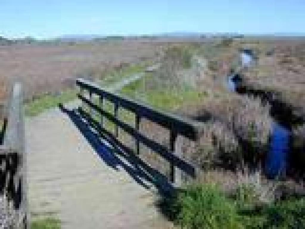 Bridge