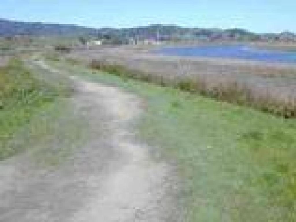 Trail