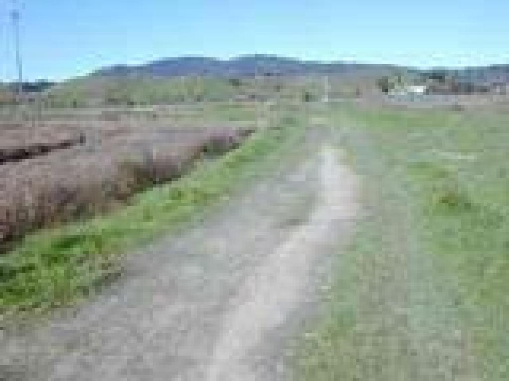 Trail
