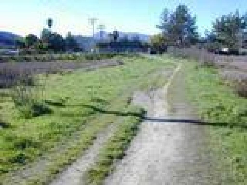 Trail
