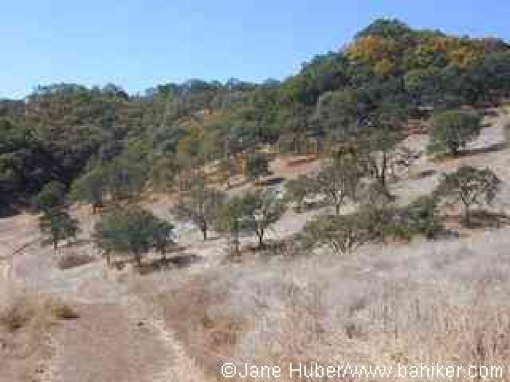 Unnamed trail along the park's southeastern boundary