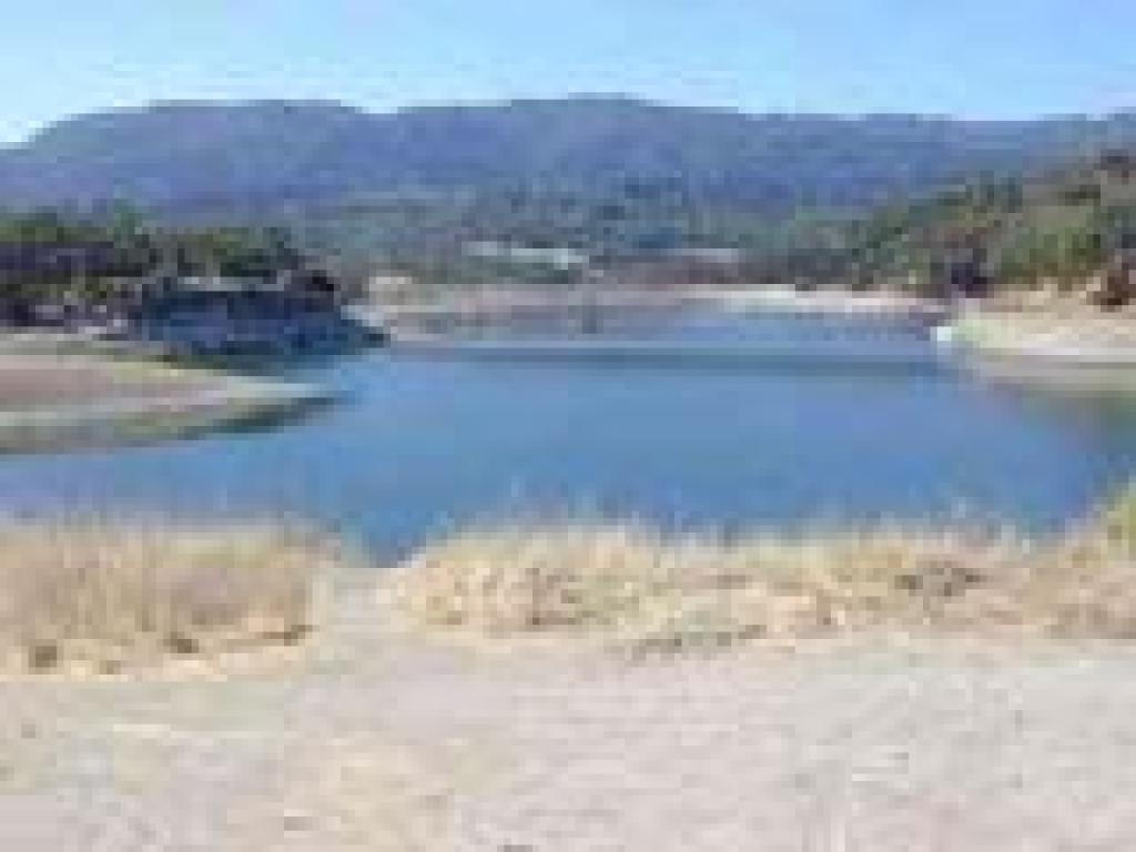 Lake Suttonfield