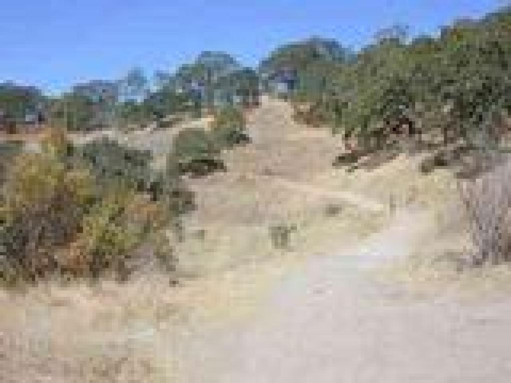 Fire road