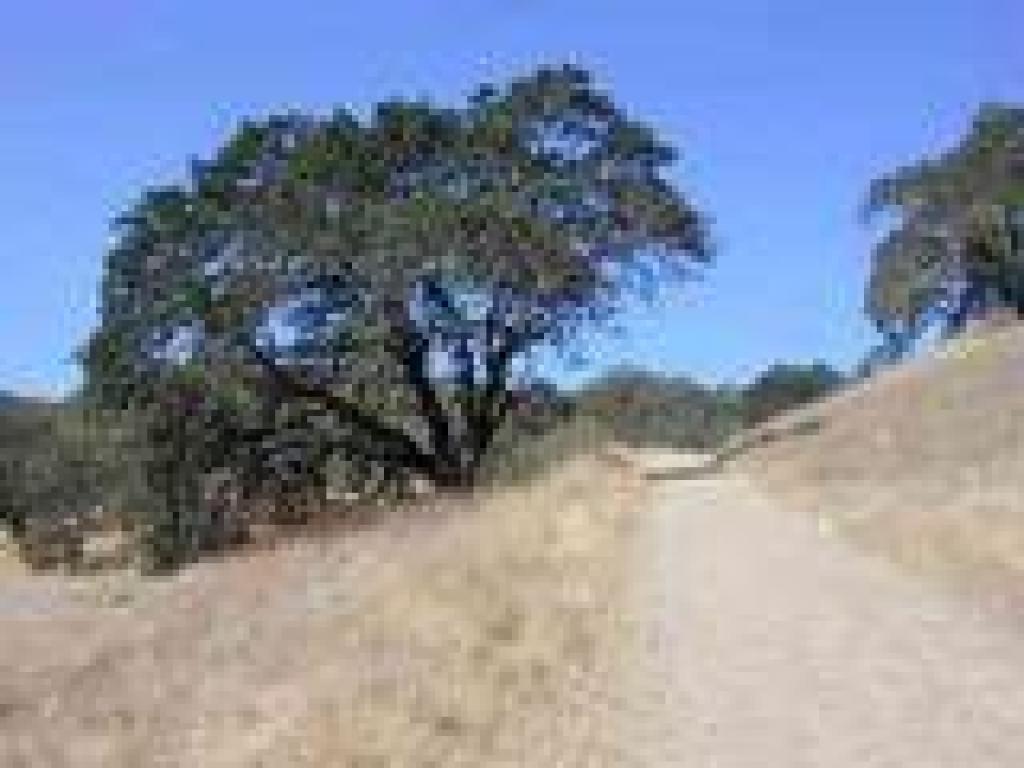Climbing