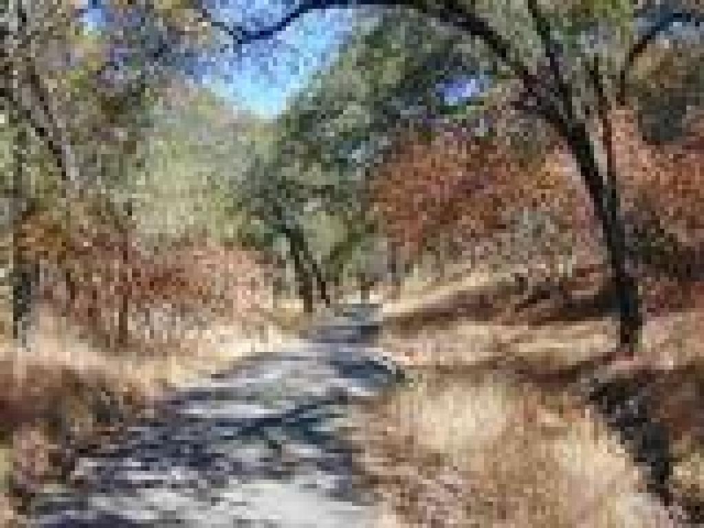 Paved trail