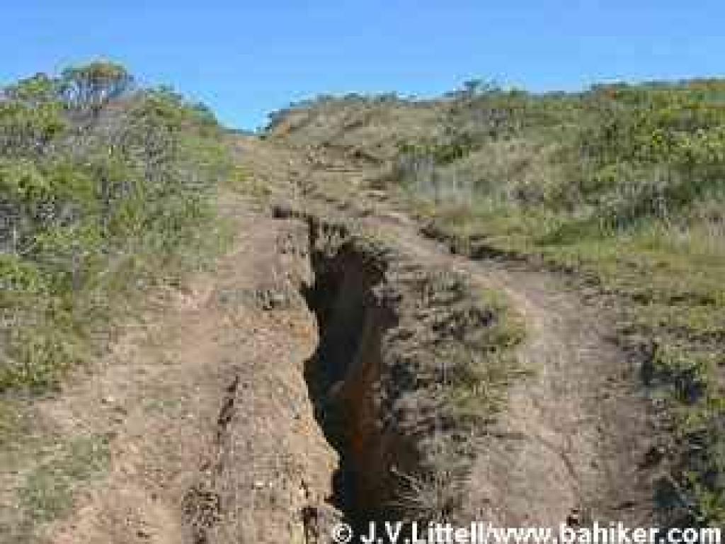 Miwok Trail