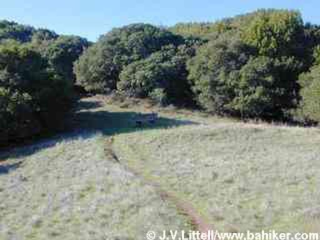Sloping grassy meadow