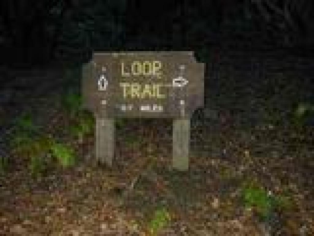 Loop Trail sign