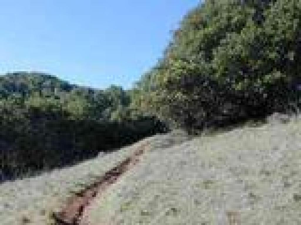 Climbing through grassland