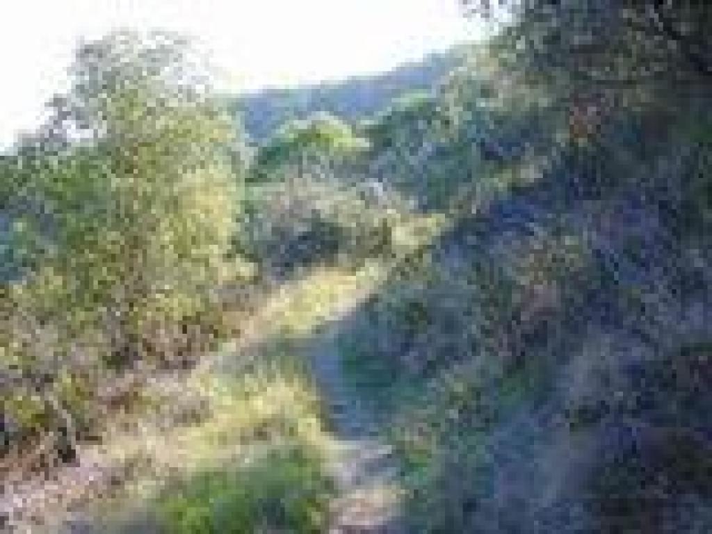 Exposed stretch of trail