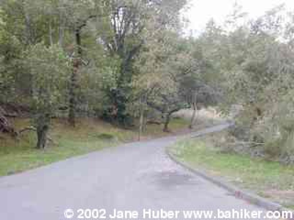Bike path