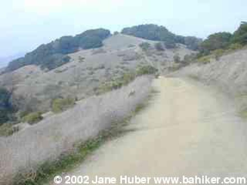 Terra Linda Ridge Fire Road