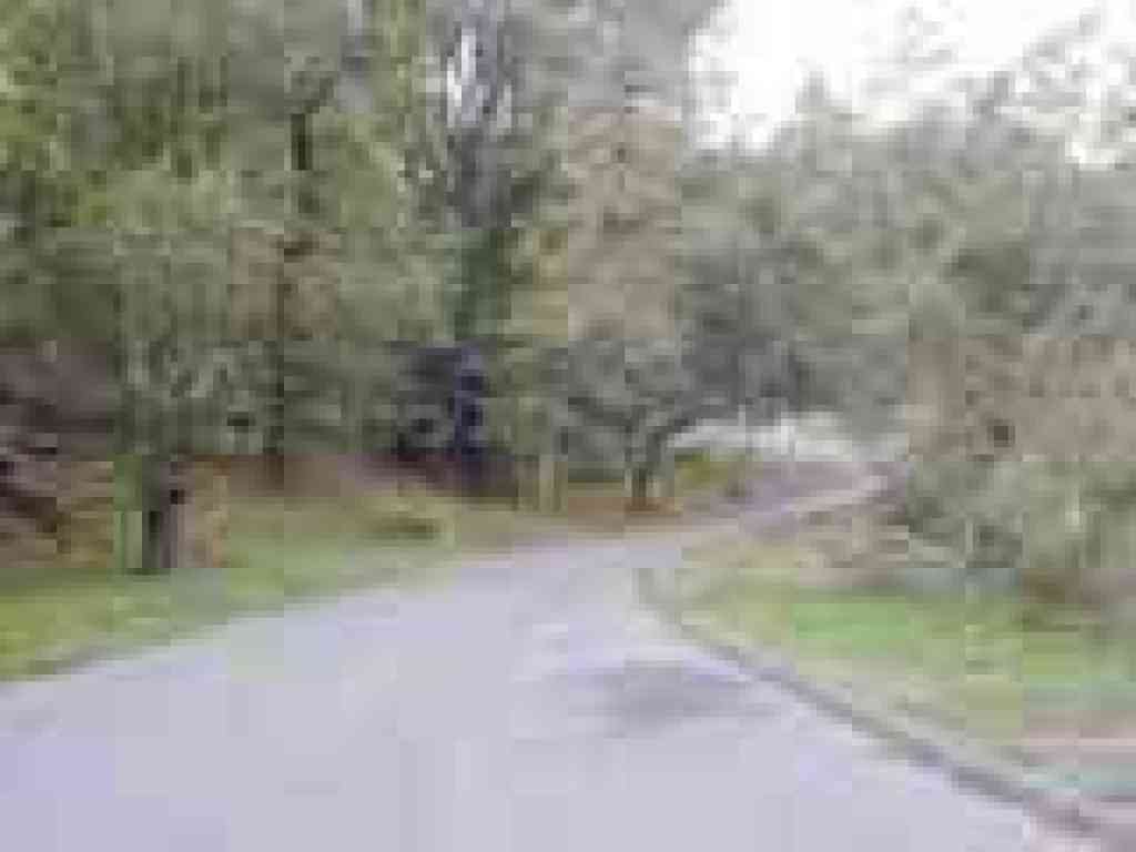 Bike path
