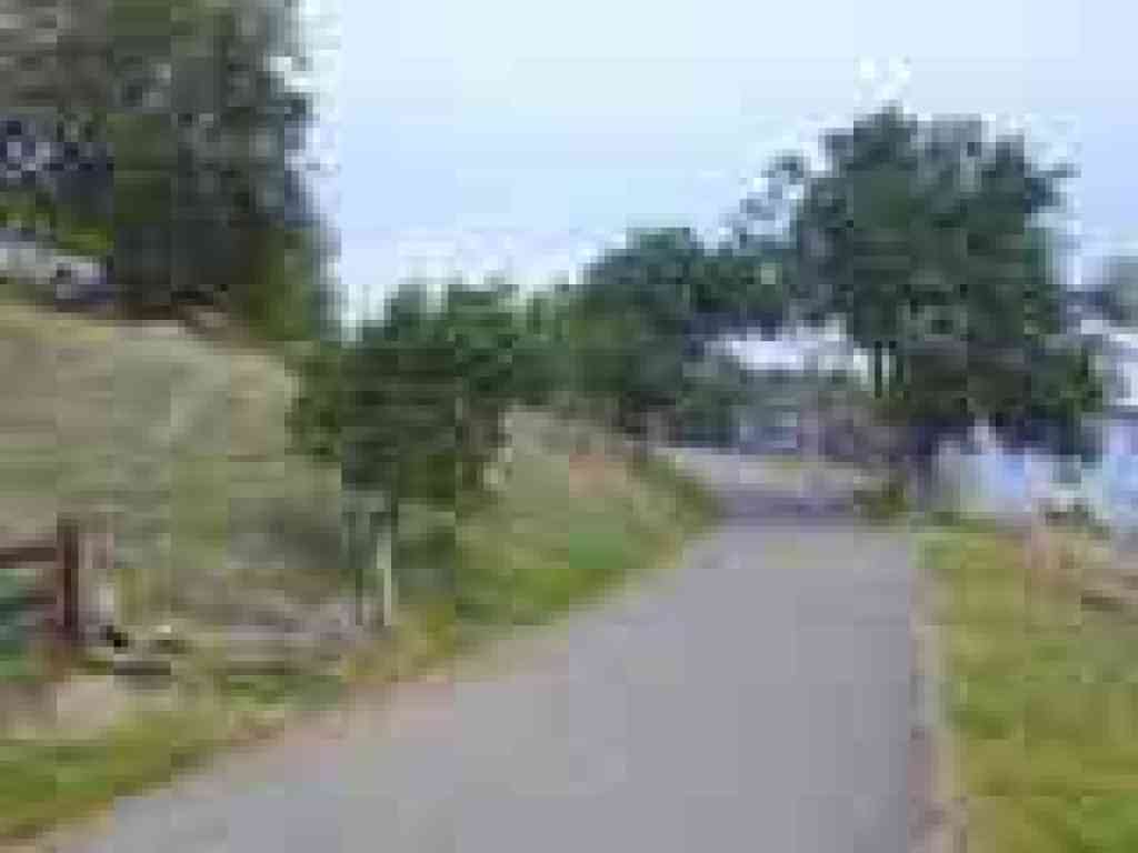 Terra Linda Ridge Fire Road