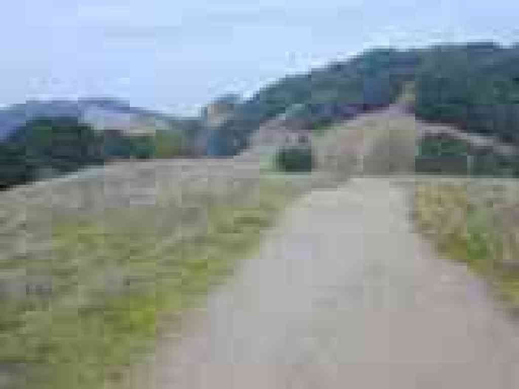 Ridgeline
