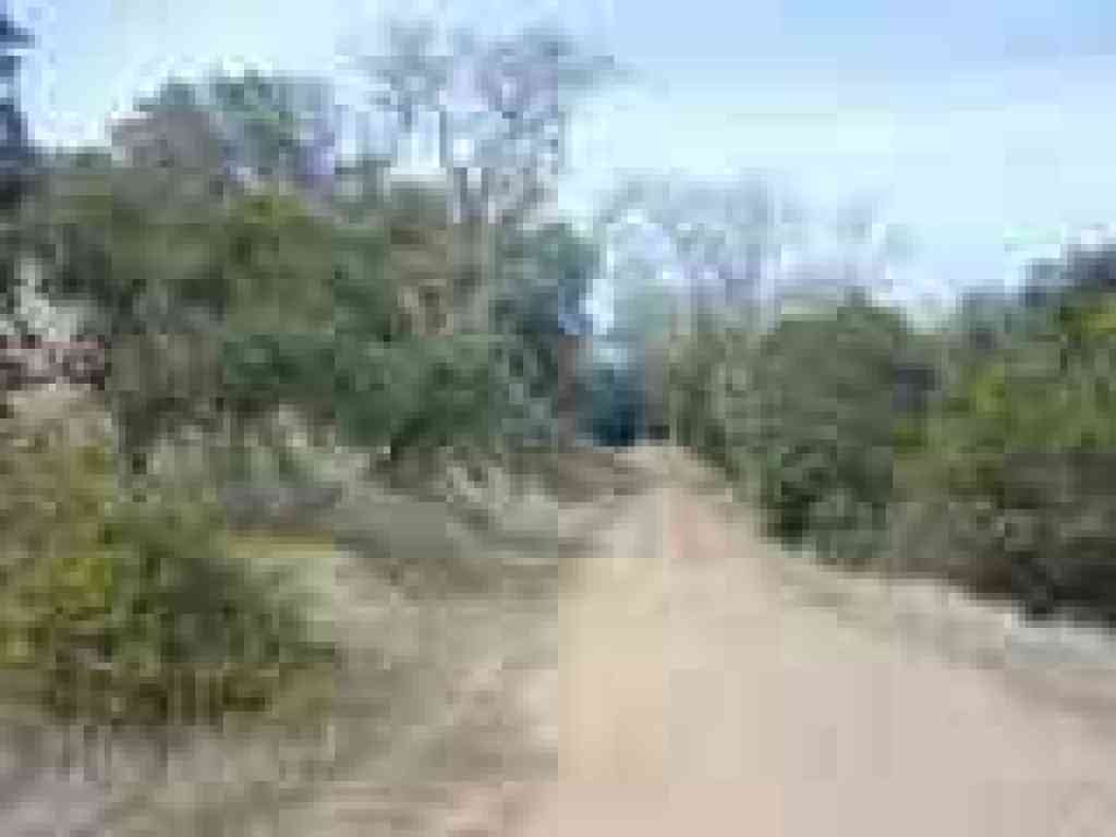 Terra Linda Ridge Fire Road