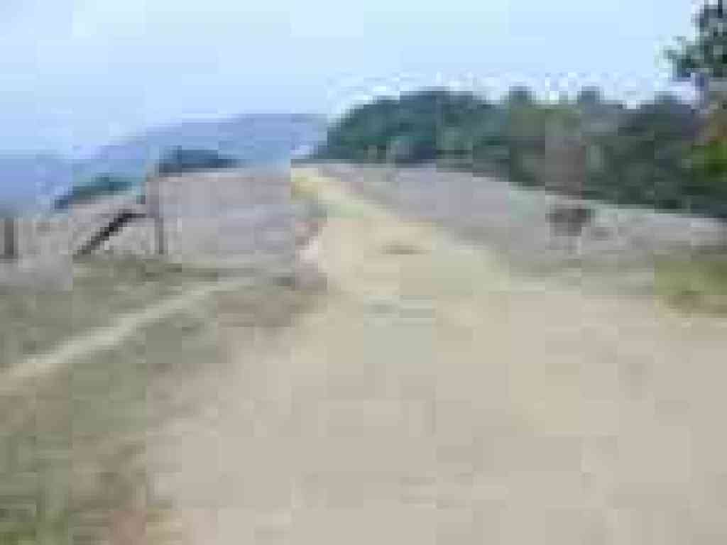 Fire road