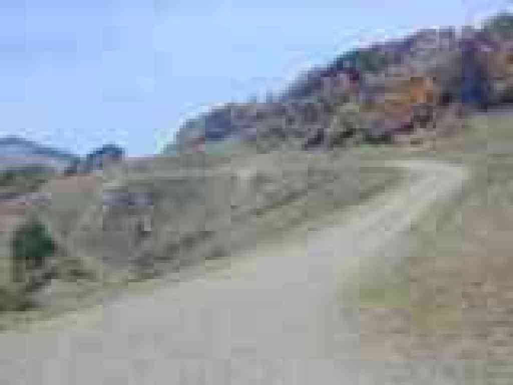Luiz Ranch Fire Road