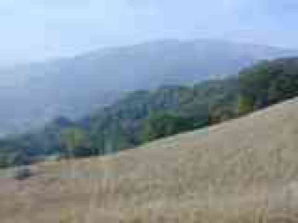Loma Alta