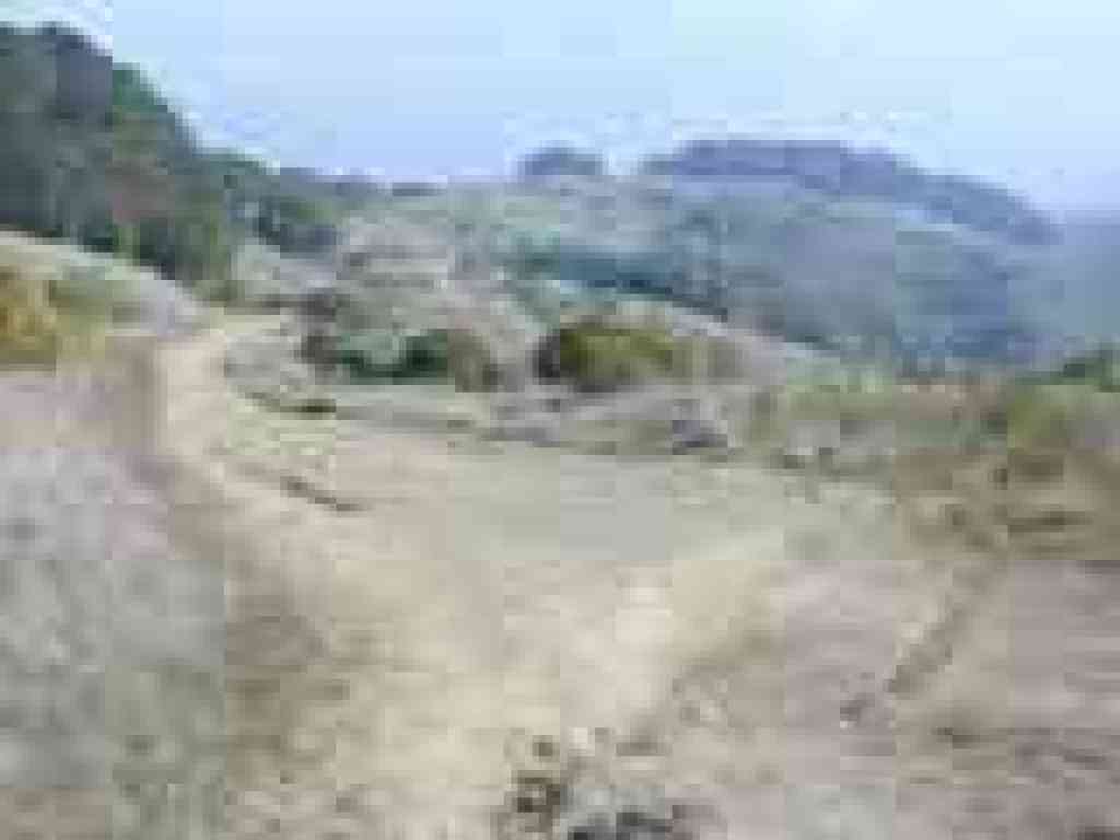 Sleepy Hollow Fire Road