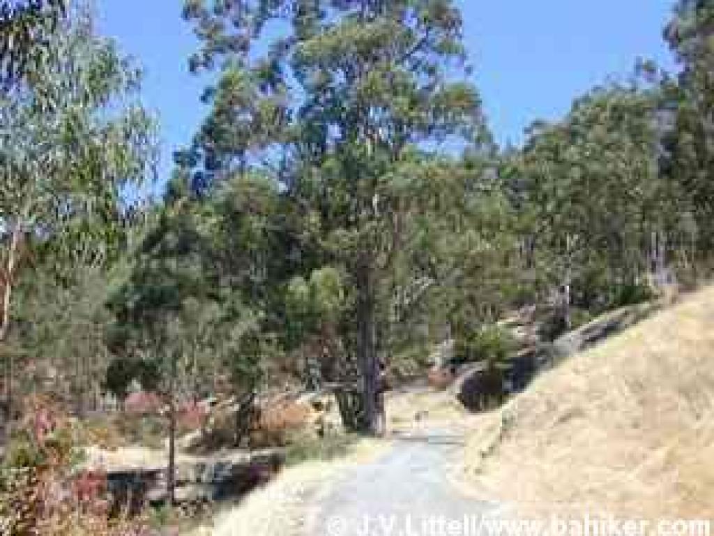 Cemetery Fire Road
