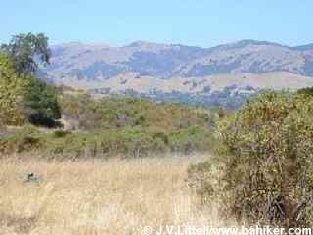 From Ridgewood Fire Road, view north to Big Rock Ridge