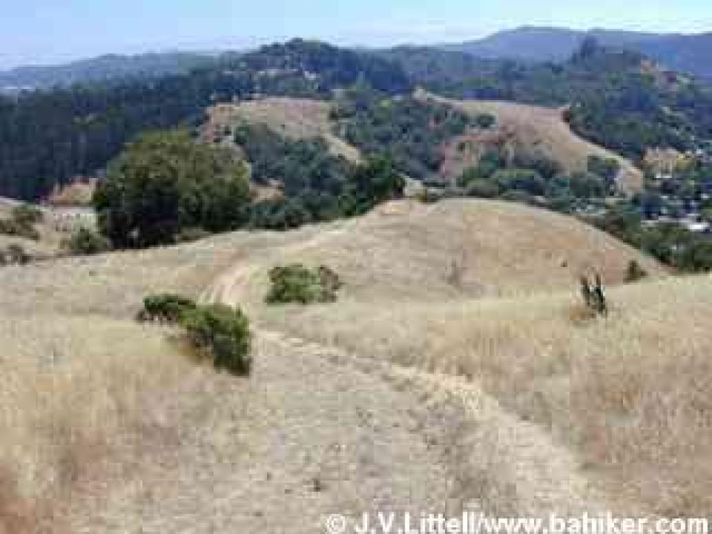 Sorich Fire Road
