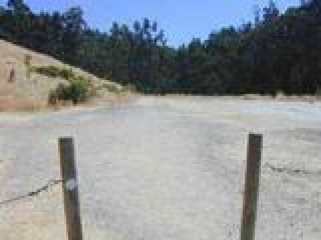 Edge of the parking lot