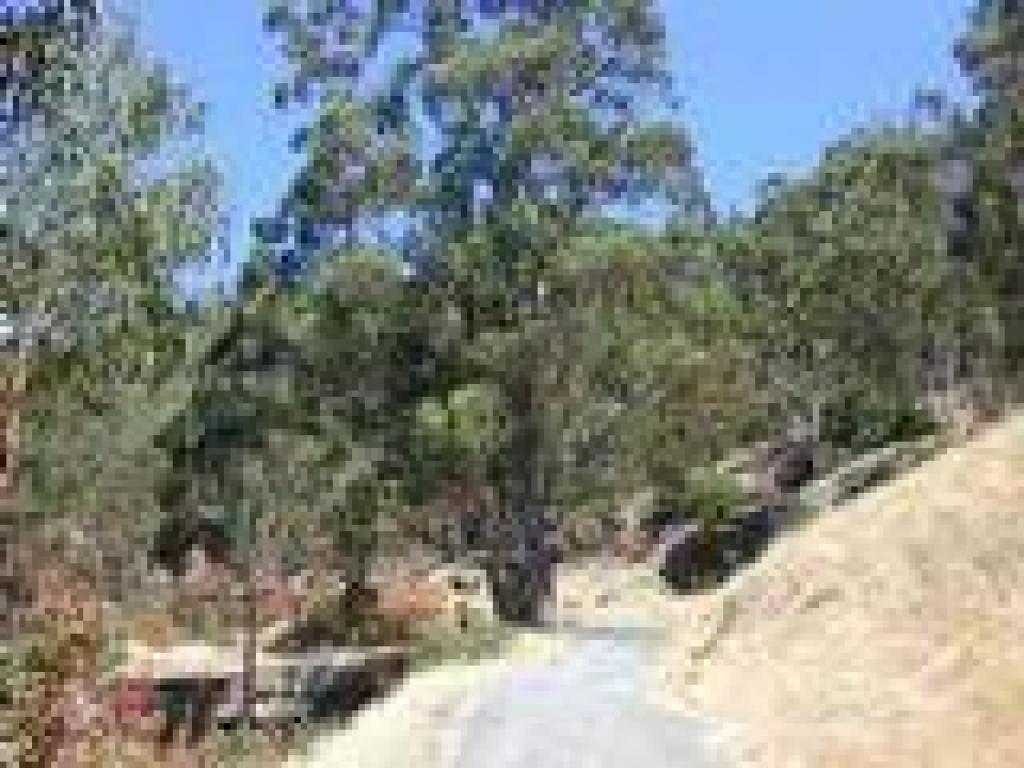 Cemetery Fire Road