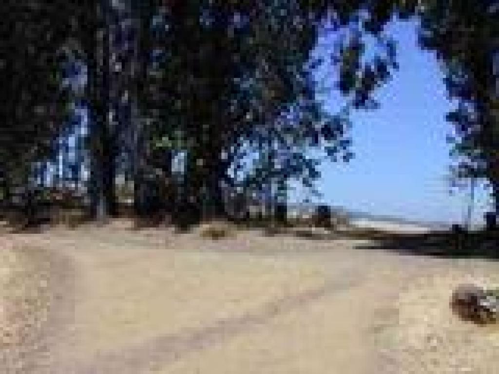 Connector path
