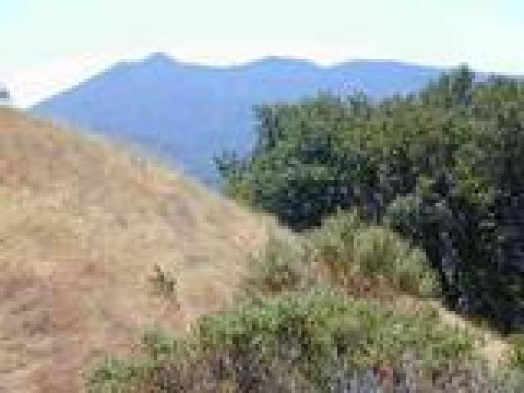 View south to Tam
