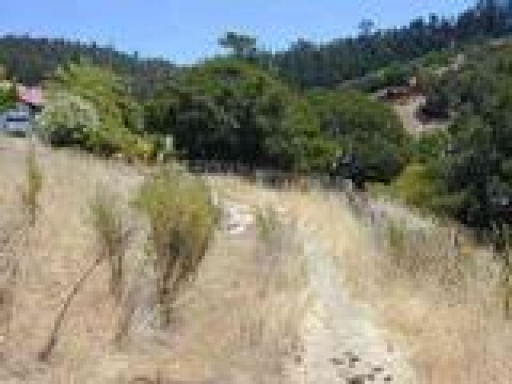 Reduced to a path