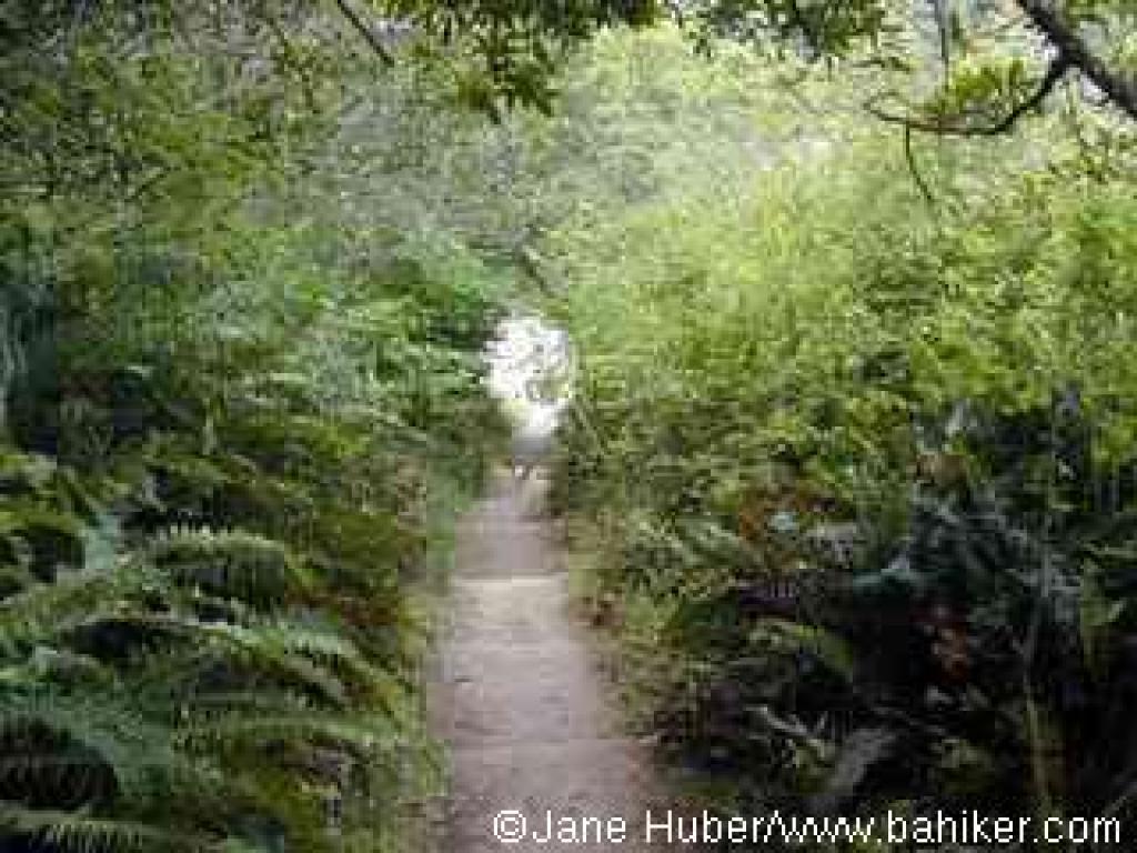 Steps down to Hearts Desire Beach