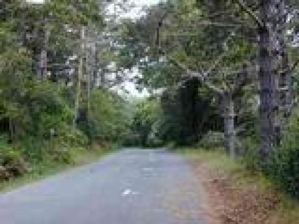 Walking down the park road to the trail