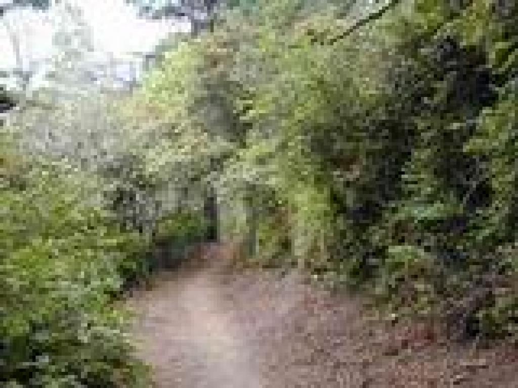 Trail begins a descent