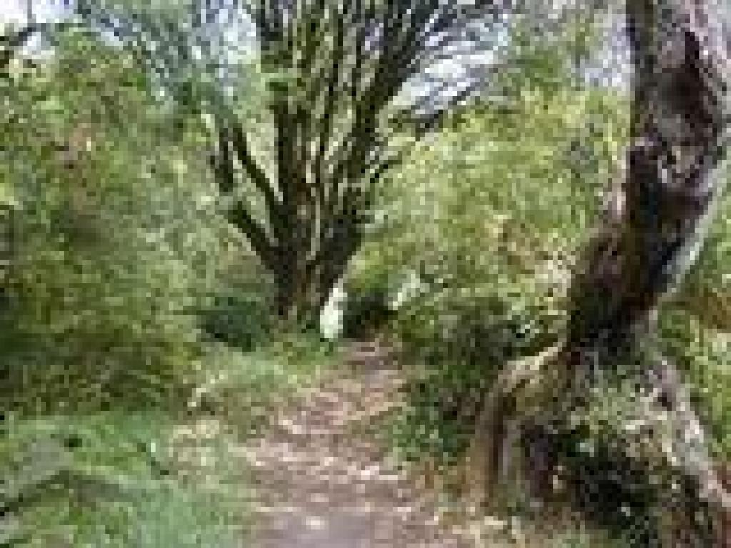 Back on Johnstone Trail