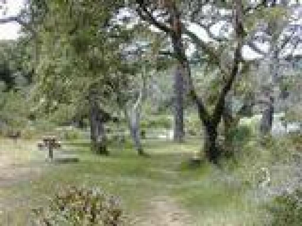 Picnic area