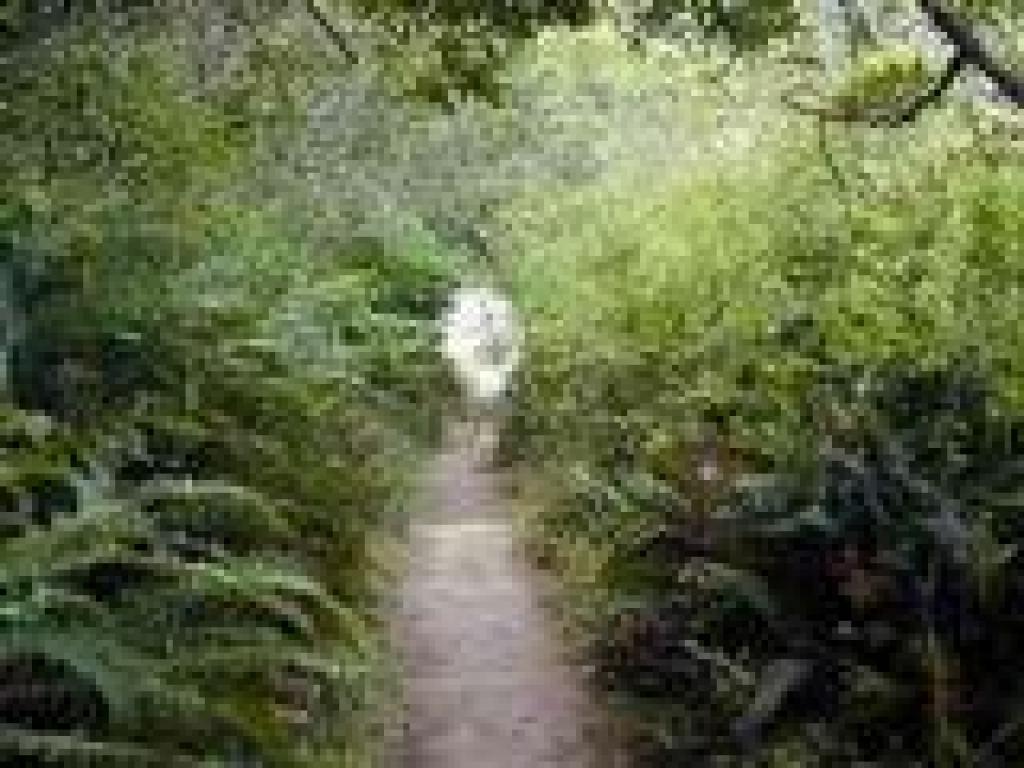 Steps down to the beach