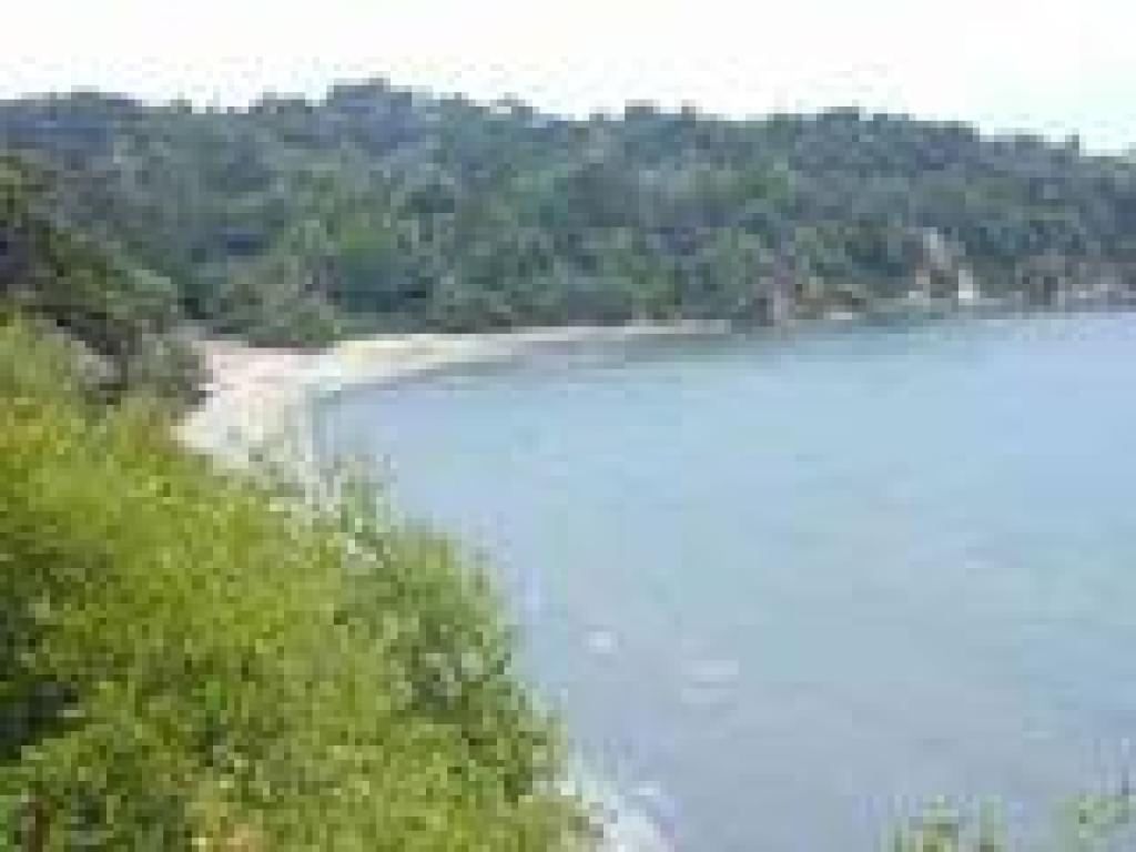 View to the shoreline