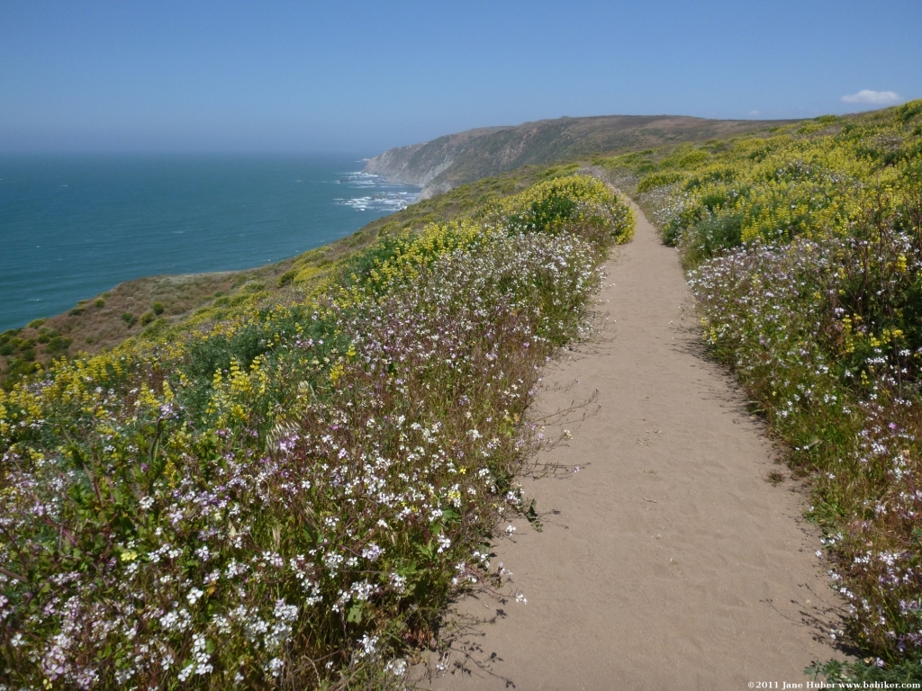 Bay Area Hiker Tomales Point, Point Reyes National Seashore