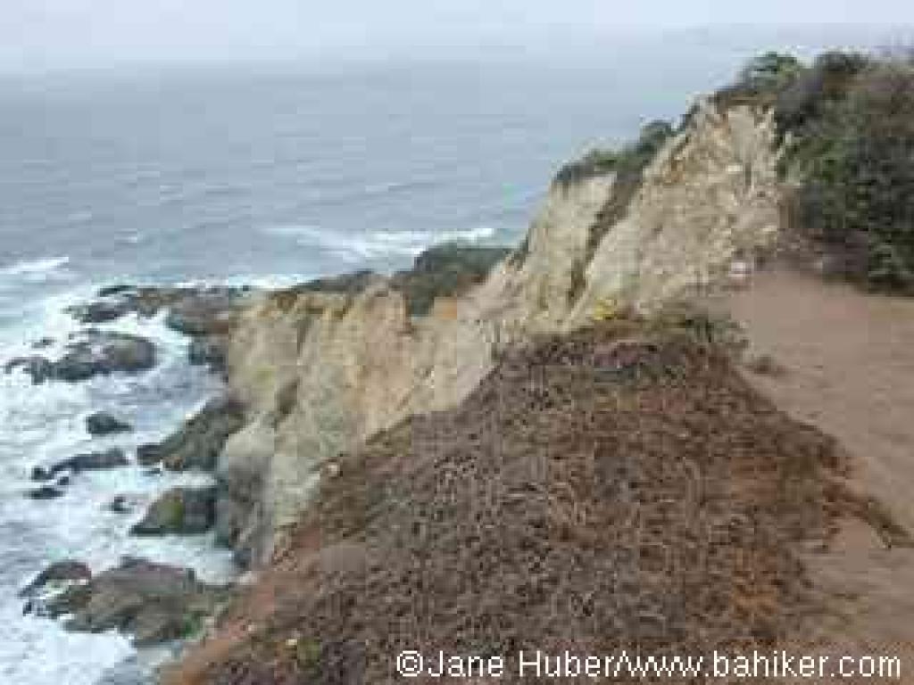 View at the point