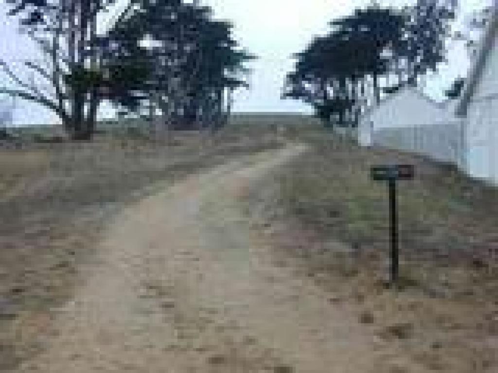Tomales Point Trail