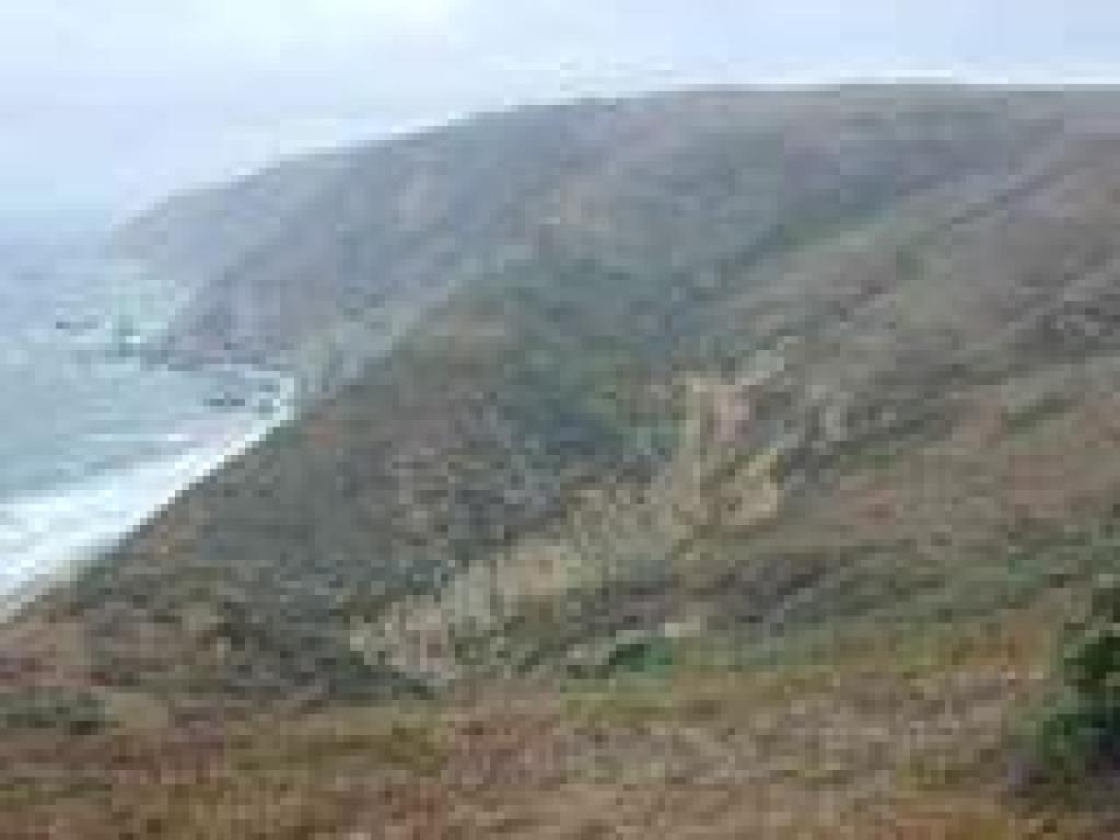 View north