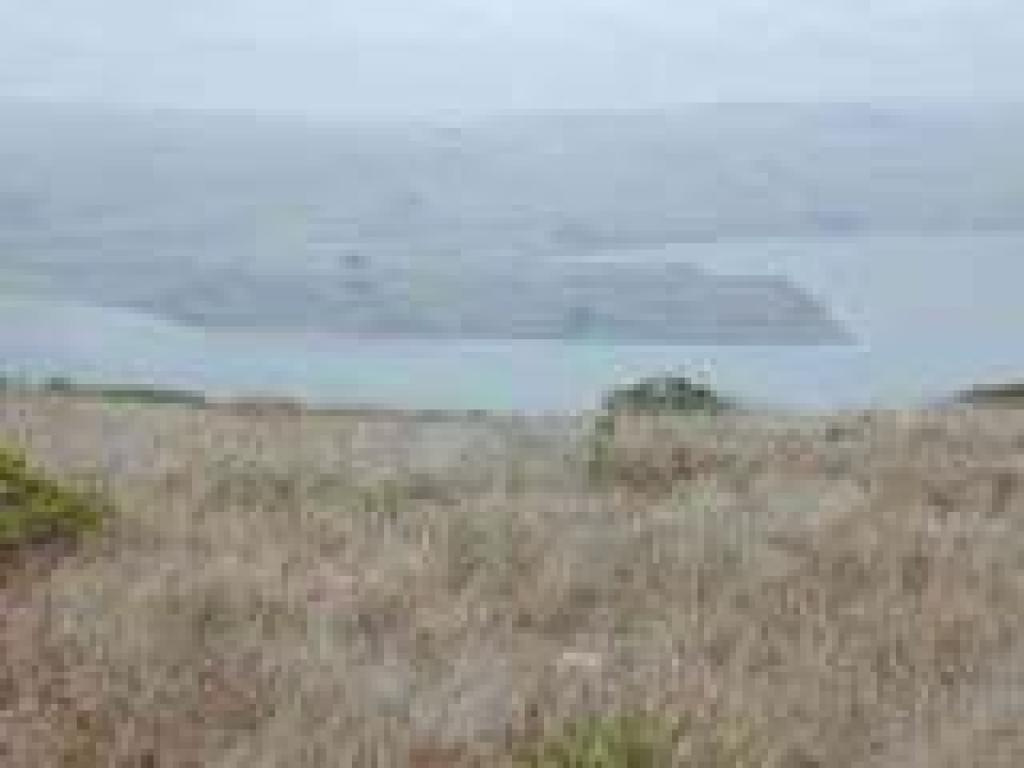 View east to Tom's Point