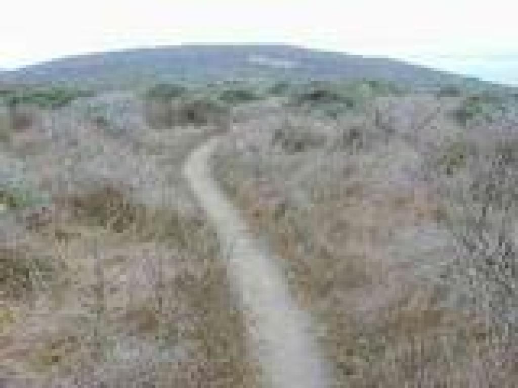 Tomales Point Trail