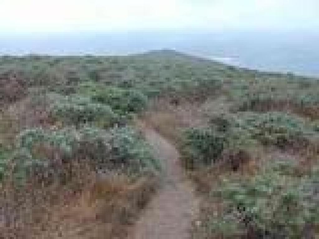 Descending toward the point