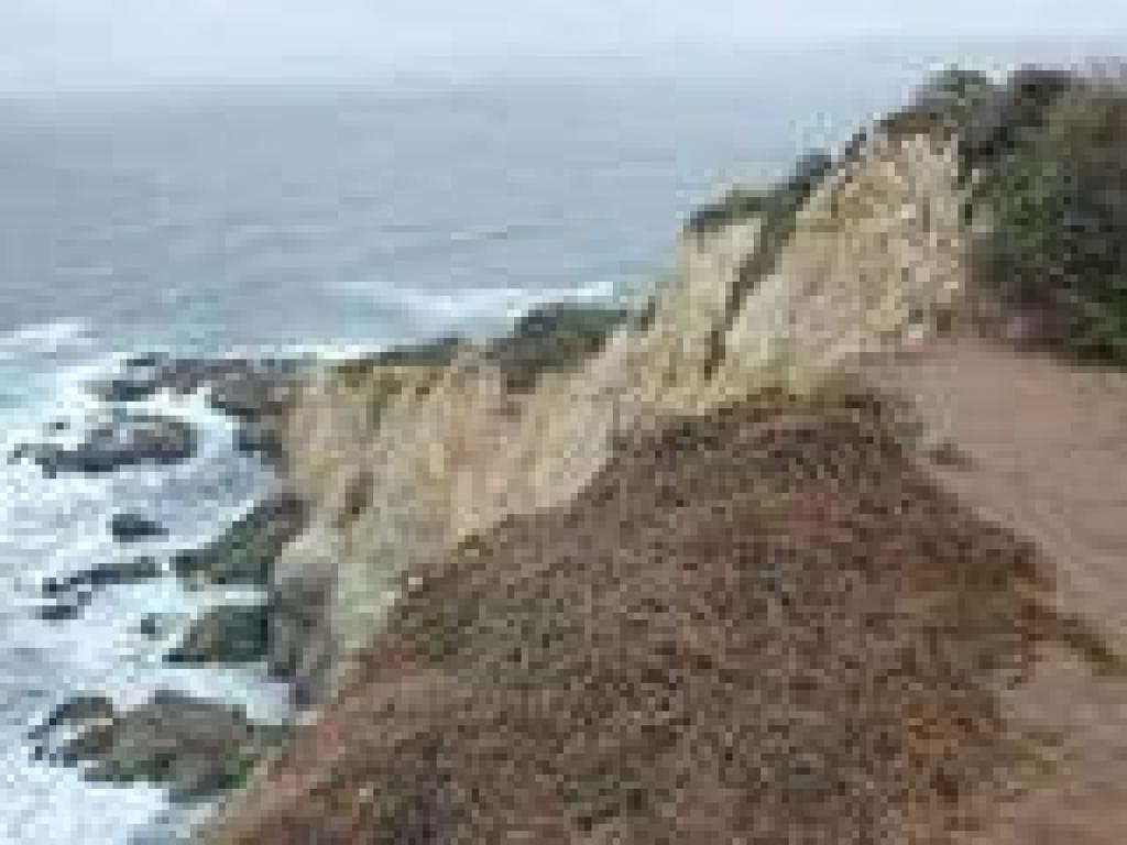 View from the edge of the bluff