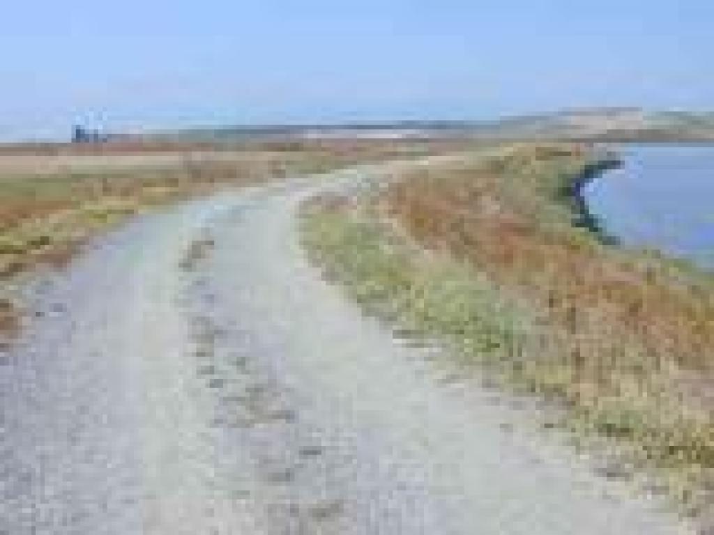 On a levee