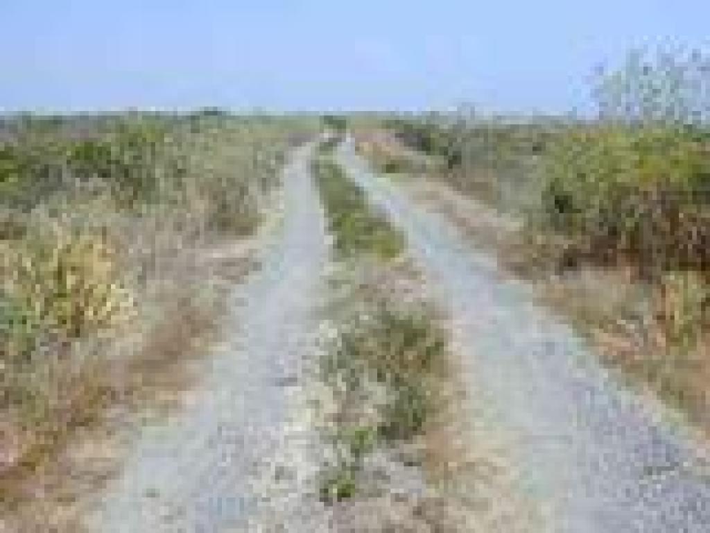 Near the end of the trail