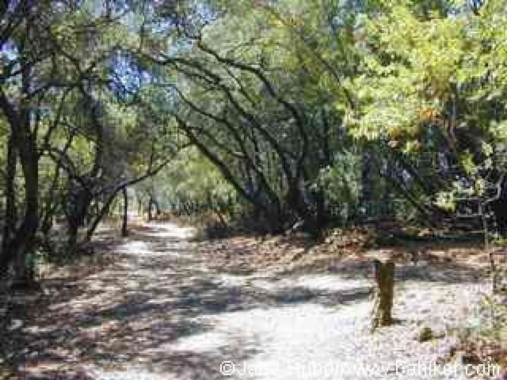 A level stretch along a ridge